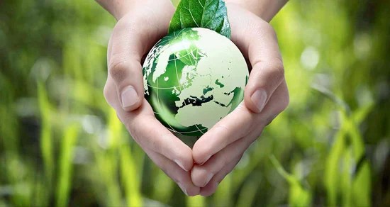 Molimax Gel: rendimiento superior y cuidado del planeta